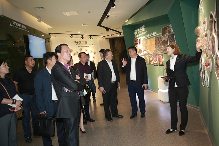 專(zhuān)題報(bào)道