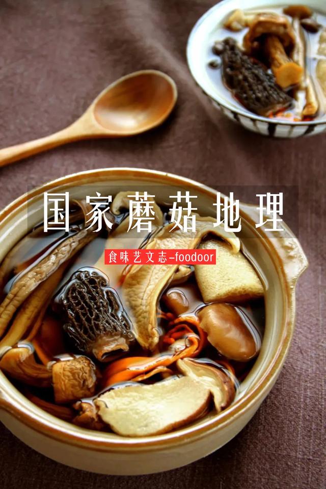 國家蘑菇地理：中國哪里的蘑菇最好吃？