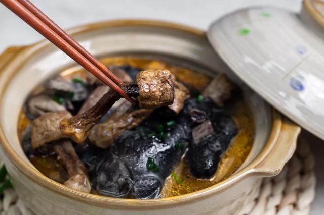 國家蘑菇地理：中國哪里的蘑菇最好吃？