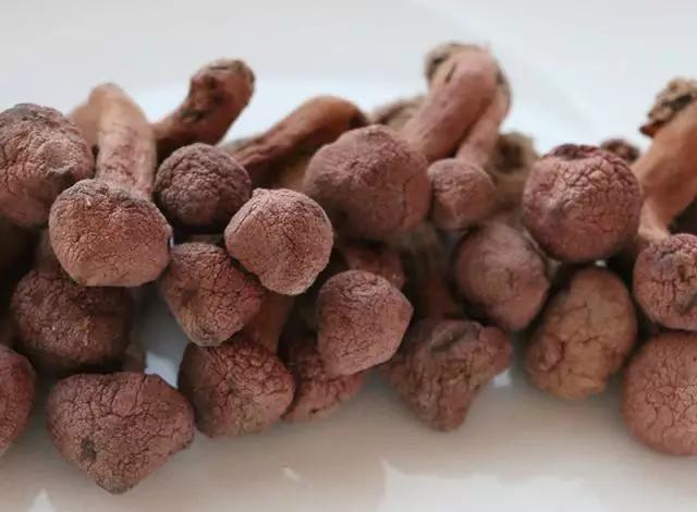 國家蘑菇地理：中國哪里的蘑菇最好吃？