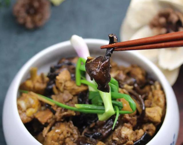 國家蘑菇地理：中國哪里的蘑菇最好吃？