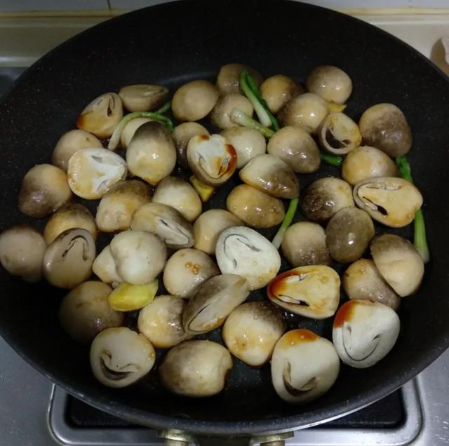國家蘑菇地理：中國哪里的蘑菇最好吃？